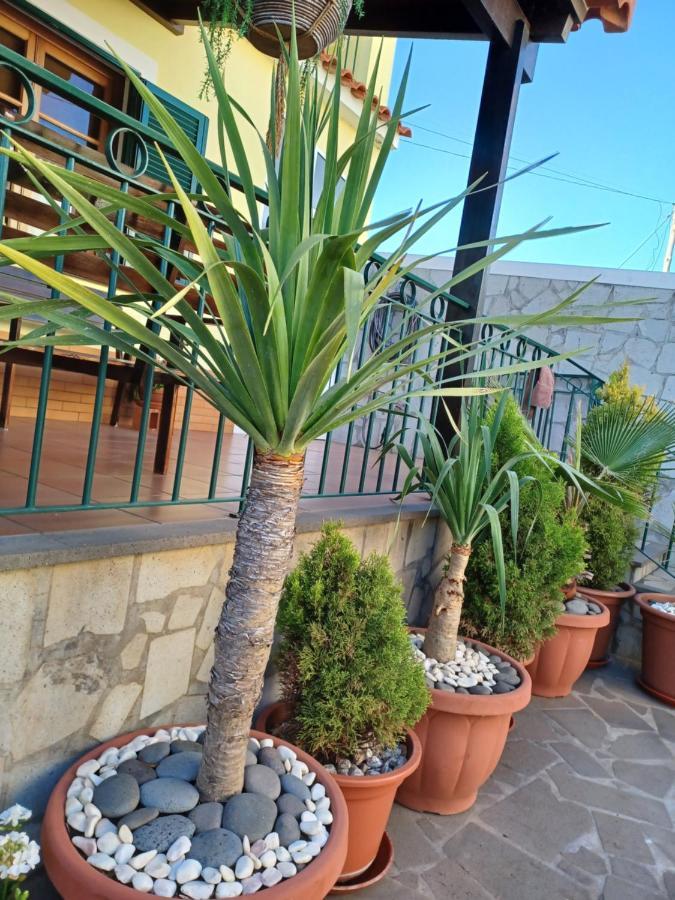 House Near Cr7 Museum Villa Funchal  Eksteriør billede